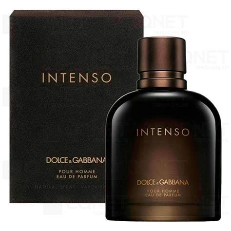 dolce gabbana intenso|dolce and gabbana intense reviews.